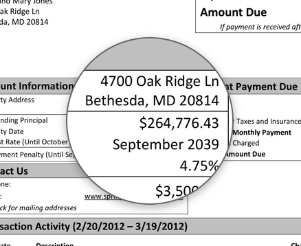 Magnifier zooming in on PDF content