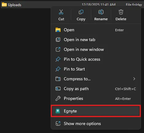 Egnyte context menu